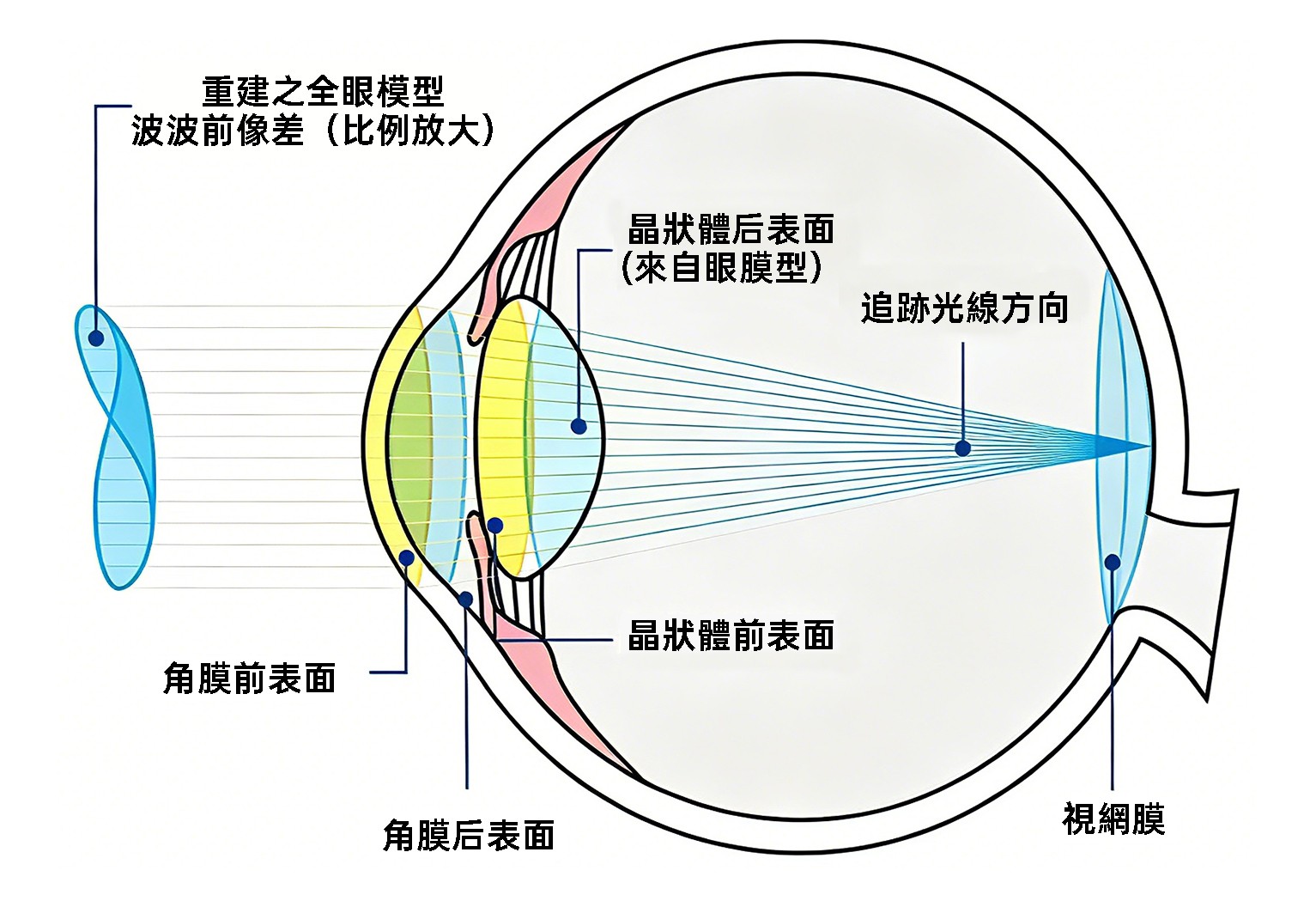眼球光學模型示意圖.jpg